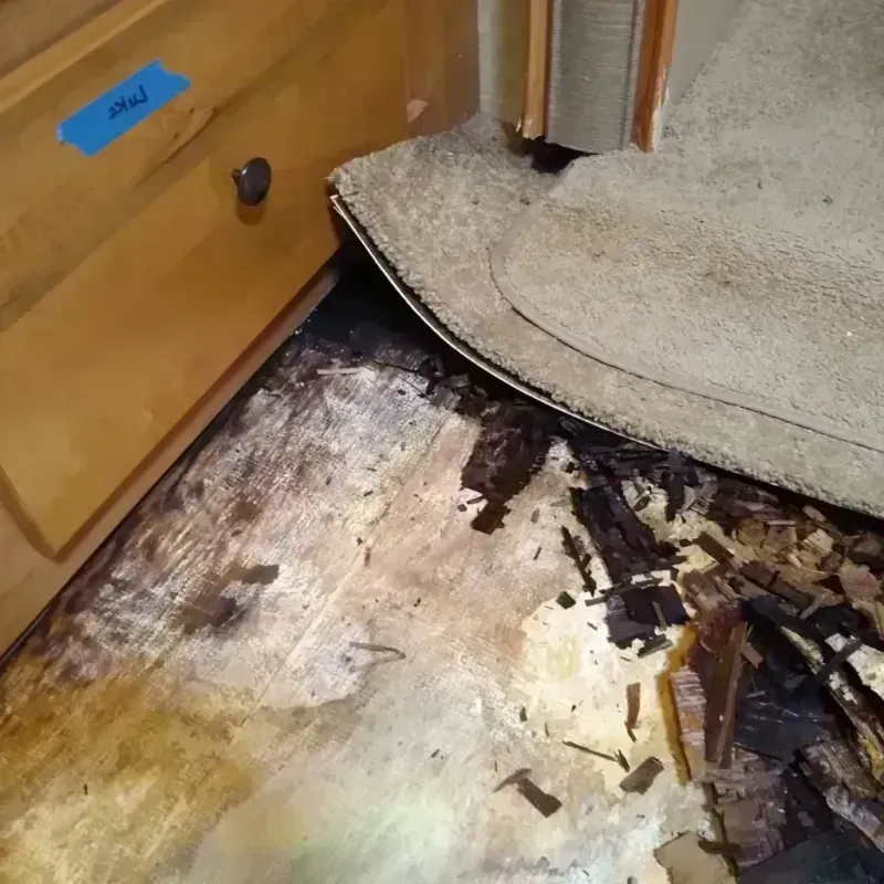 Wood Floor Water Damage in Afton, MN